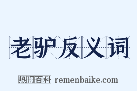 老驴反义词是什么意思的图片